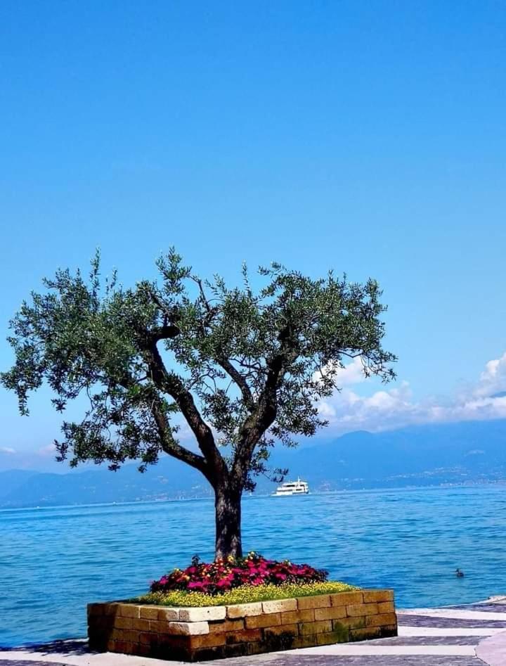 Mahatma Residence Lake View Lazise Rum bild